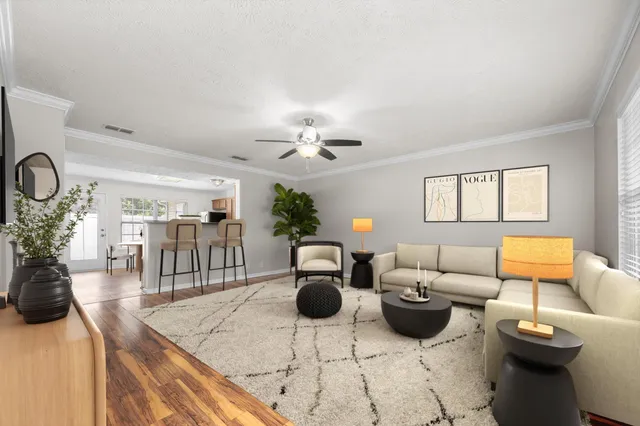 a living room with furniture a rug potted plant and a window