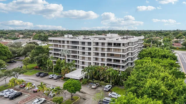 a view of a patio with plants and a garden