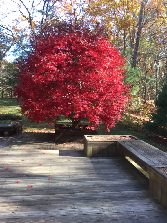 18 King John Drive Boxford, MA 01921 - Photo 3 of 20