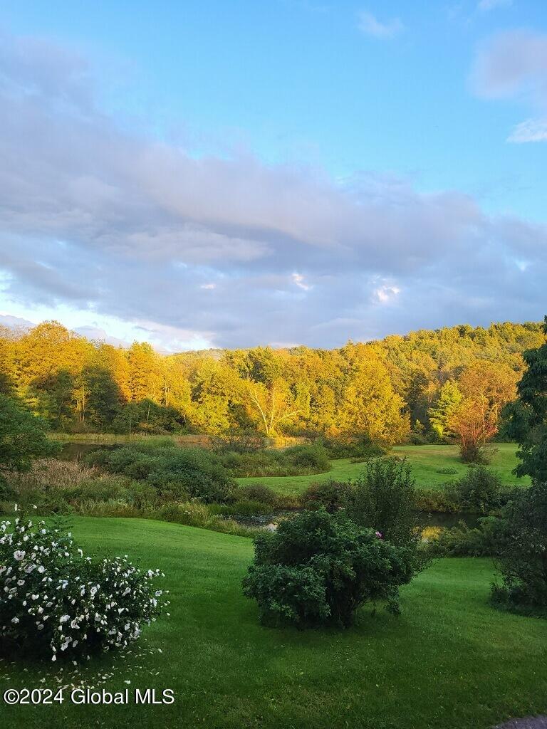 71 S Road Hampton, NY 12887 - Photo 56 of 60 imagejpeg_0