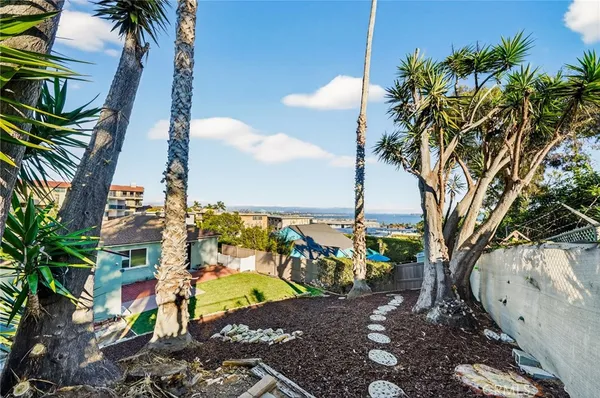 a view of a yard with palm trees