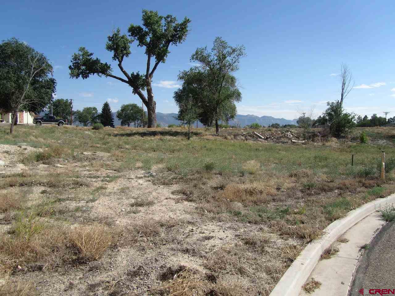 Tbd Tbd Par Drive Cortez, CO 81321 - Photo 5 of 9 a view of a dry yard with wooden fence