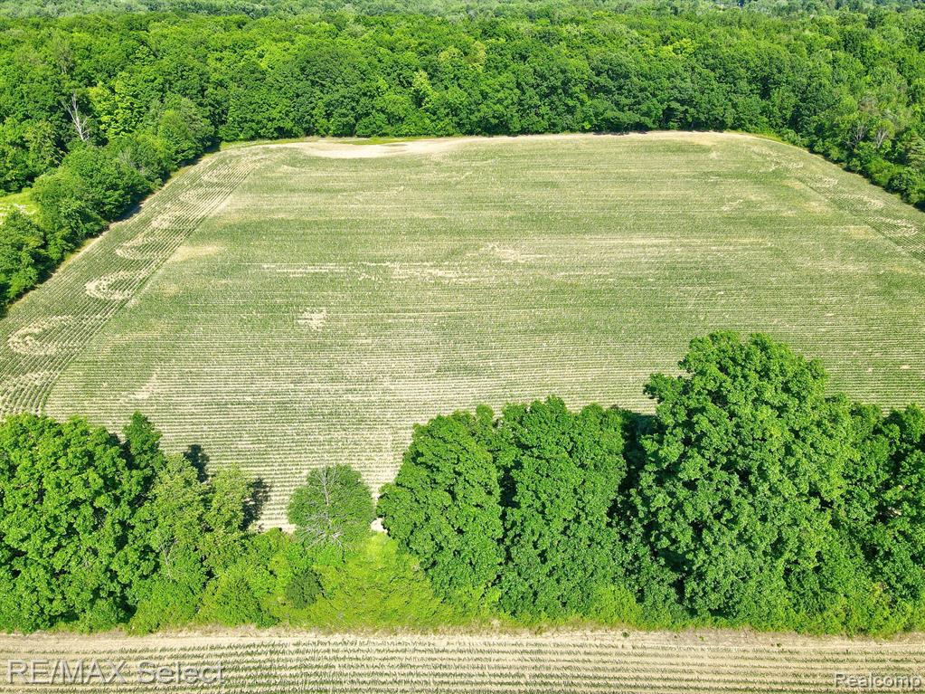 0 North Elba Road Lapeer, MI 48446 - Photo 5 of 5