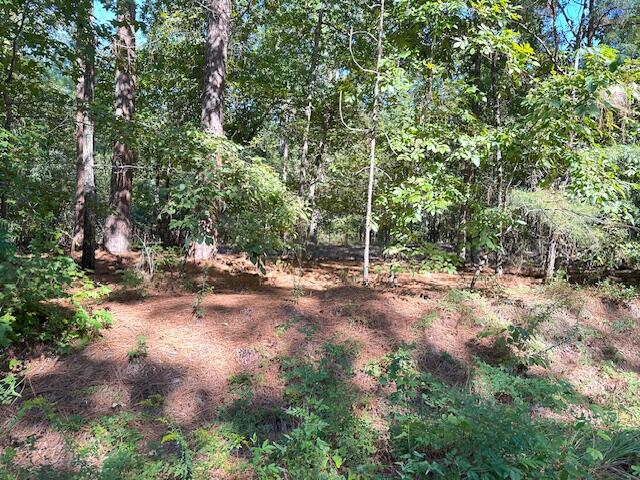 1 Acorn Lane, Unit A Santee, SC 29142 - Photo 4 of 8