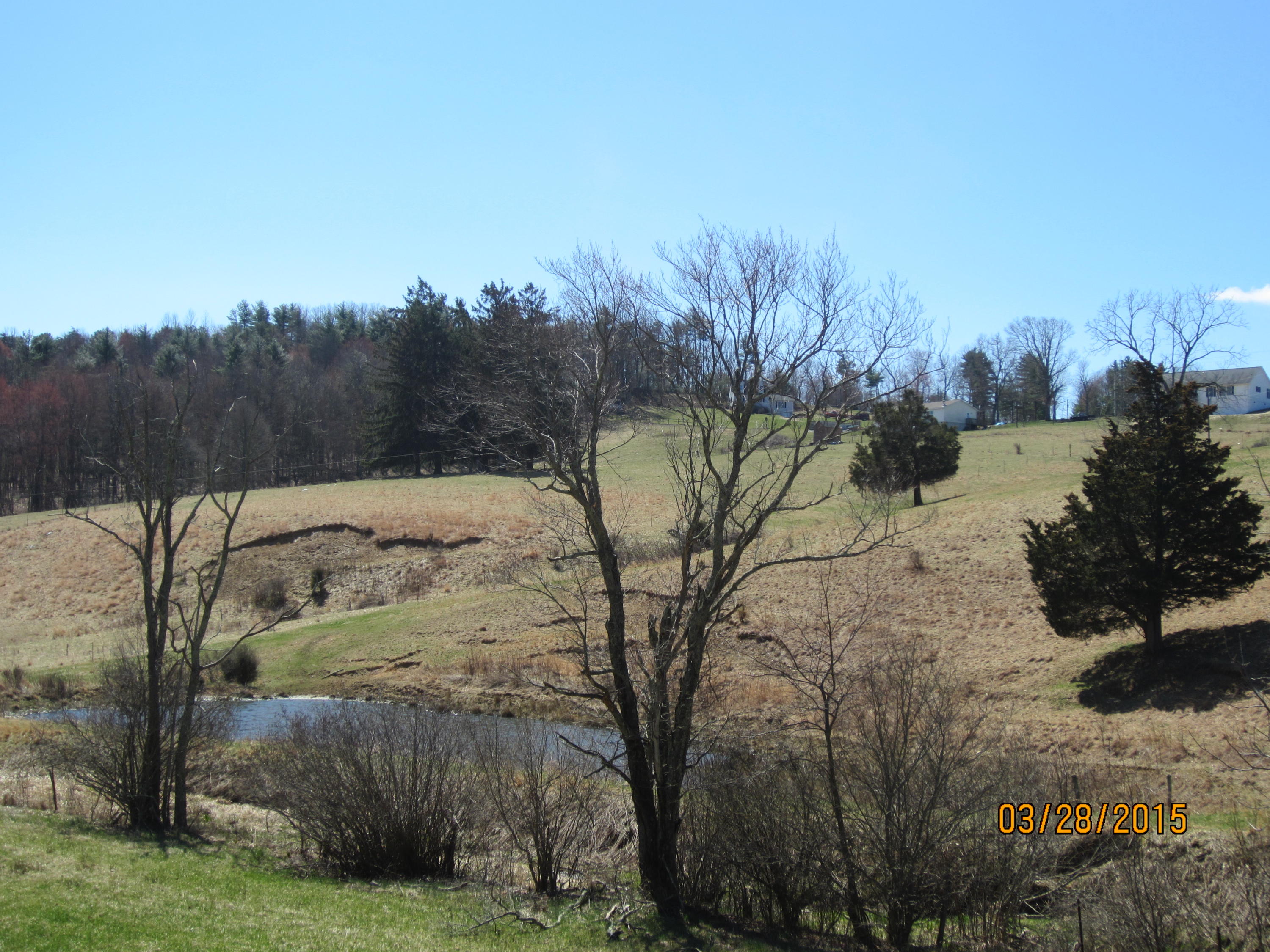 590 Dusty Rock Road Northwest Riner, VA 24149 - Photo 3 of 9 pond1