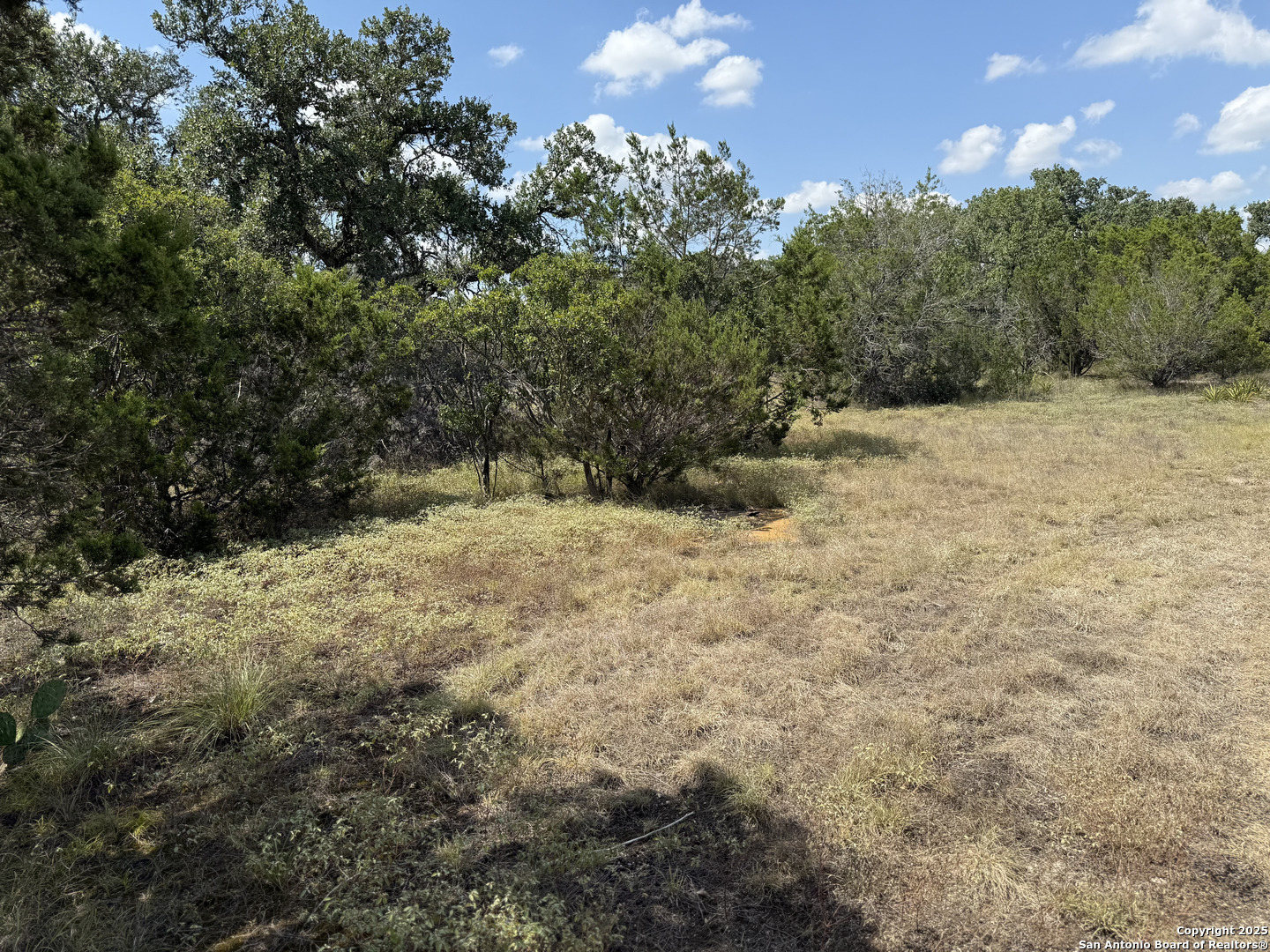 1608 Campfire Drive Spring Branch, TX 78070 - Photo 11 of 11 a view of a yard with a tree
