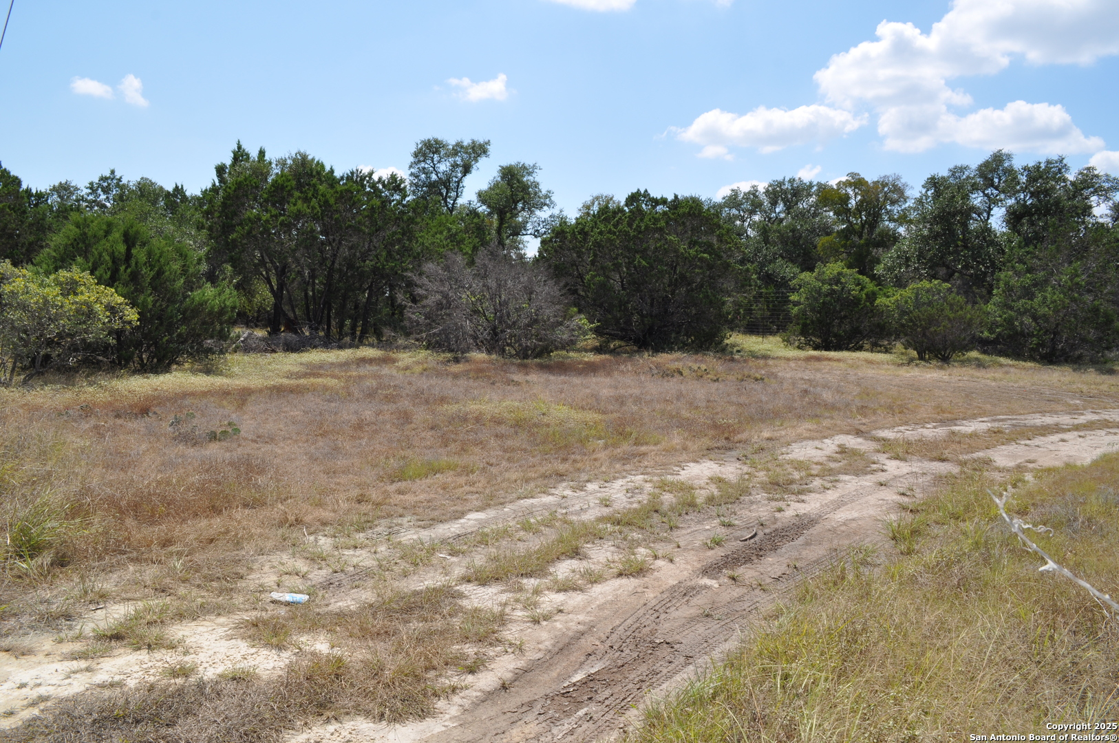1608 Campfire Drive Spring Branch, TX 78070 - Photo 4 of 11 a view of dirt field with trees in background