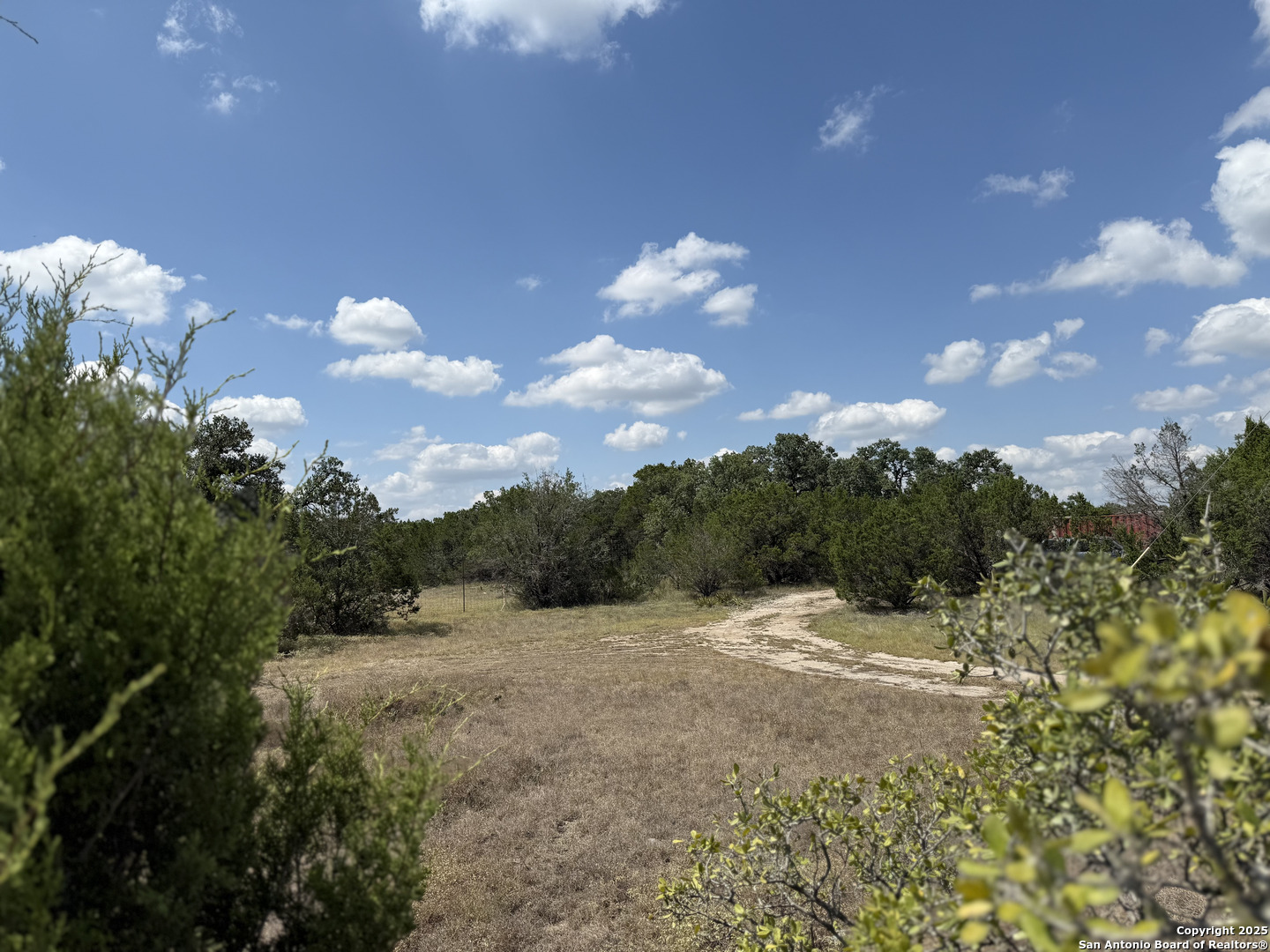 1608 Campfire Drive Spring Branch, TX 78070 - Photo 9 of 11 a view of a bunch of trees in middle of a field