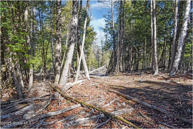 $84,900 | L15 Mountain Meadows Road, Adirondack, NY 12808