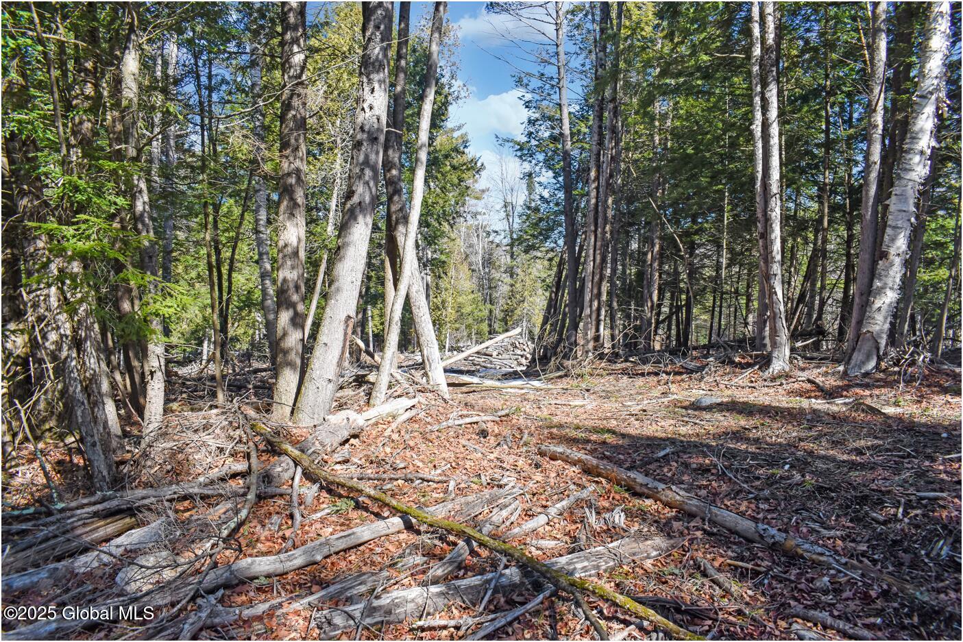 L15 Mountain Meadows Road Adirondack, NY 12808 - Photo 4 of 11 mm46