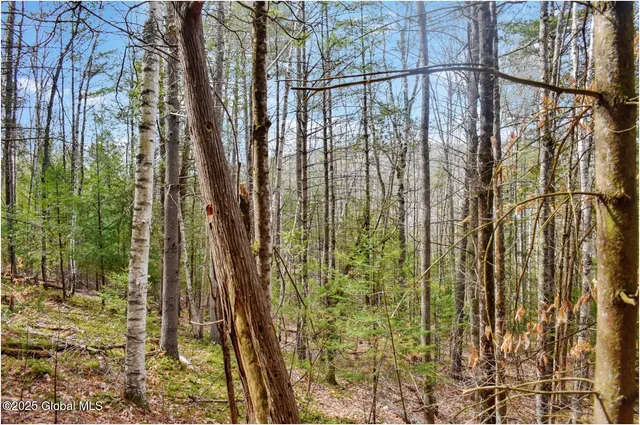 $84,900 | L15 Mountain Meadows Road, Adirondack, NY 12808