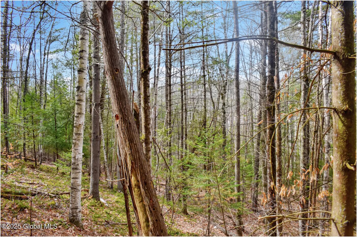 L15 Mountain Meadows Road Adirondack, NY 12808 - Photo 6 of 11 Cover