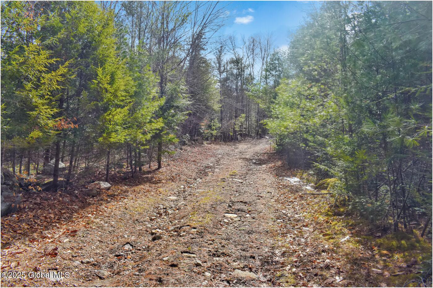 L15 Mountain Meadows Road Adirondack, NY 12808 - Photo 10 of 11 mm30