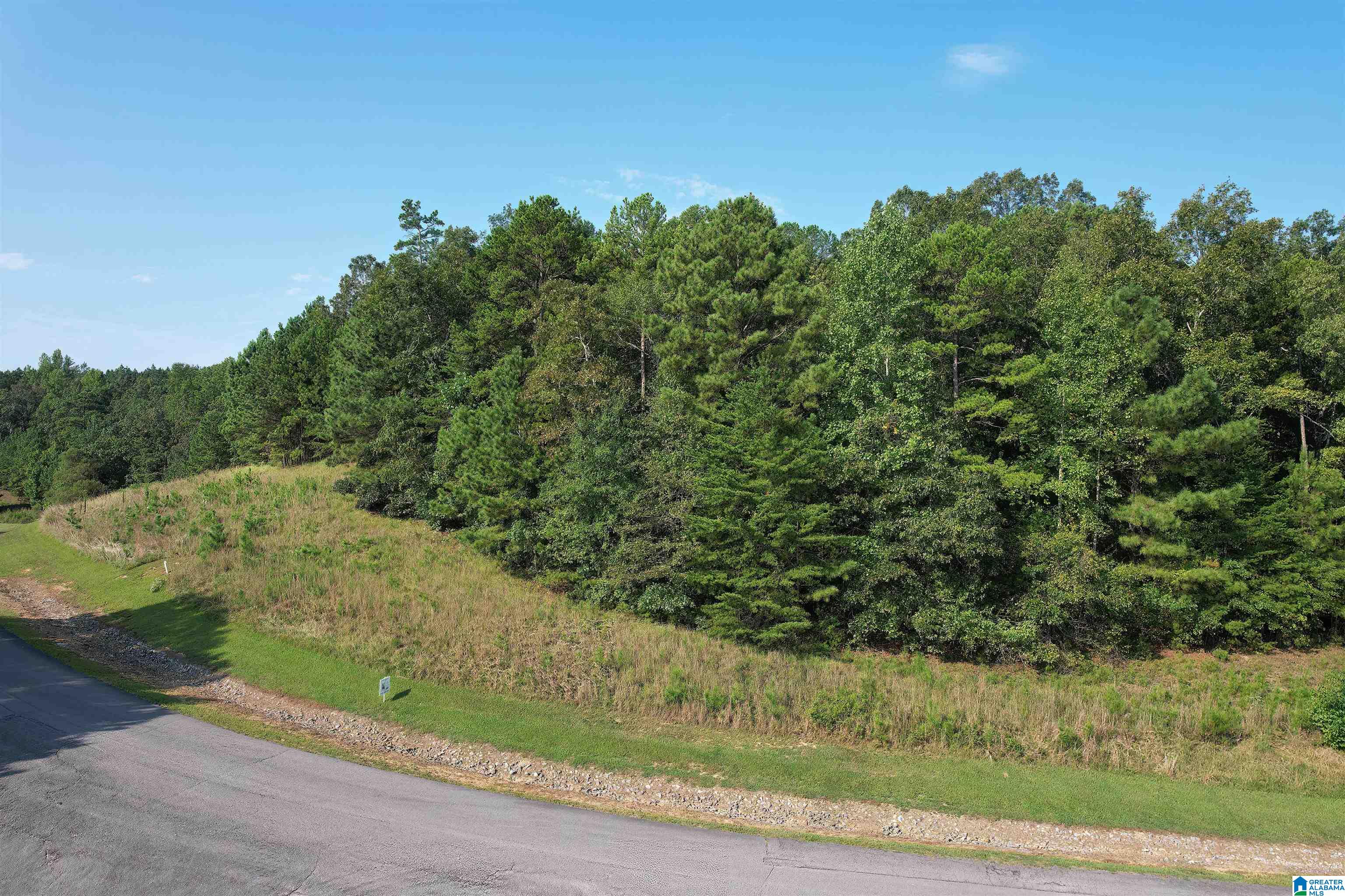 221 Stoney Point Road South, Unit 221/122 Double Springs, AL 35553 - Photo 3 of 25