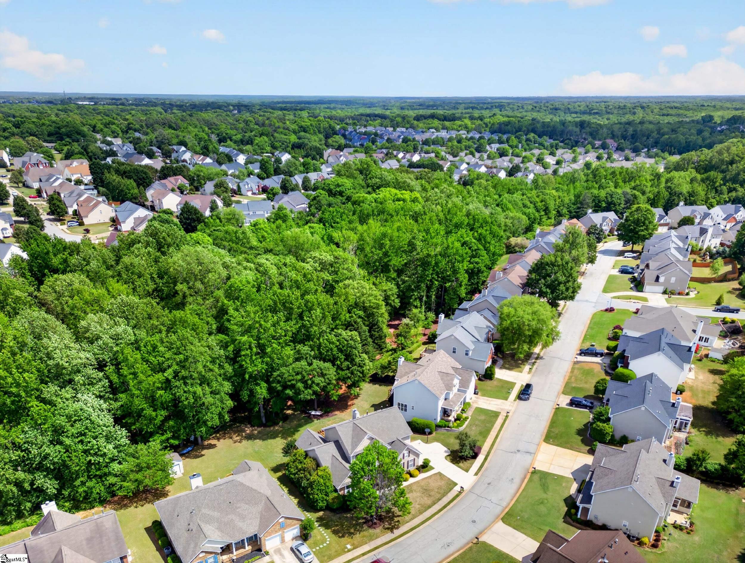 417 Summergreen Way Greenville, SC 29607 - Photo 47 of 50