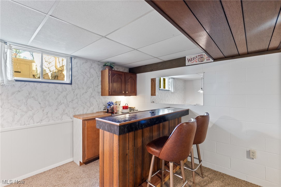 59638 Broadview Road Shadyside, OH 43947 - Photo 31 of 43 Indoor dry bar with a paneled ceiling, wainscoting, light carpet, brown cabinetry, and wallpapered walls