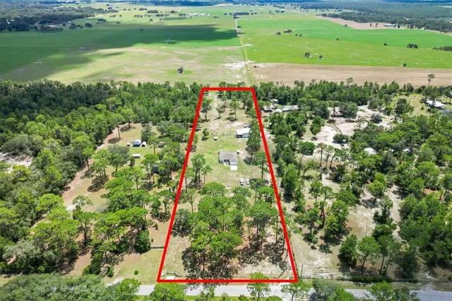 a view of a garden with a lake