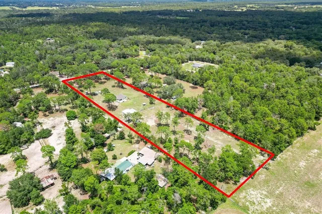 a view of a yard with plants