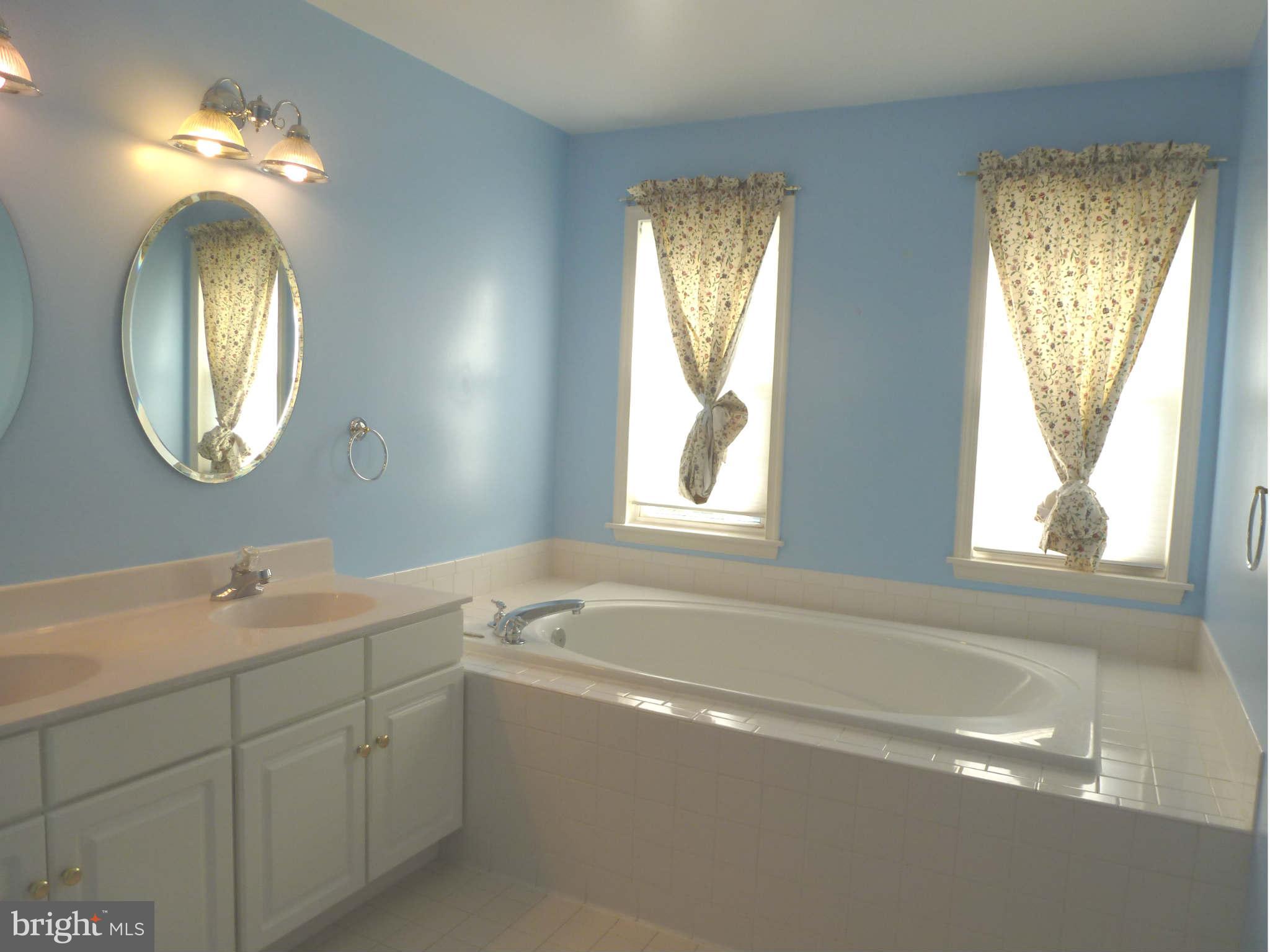 20678 Riptide Square Sterling, VA 20165 - Photo 11 of 18 Bath (Master)