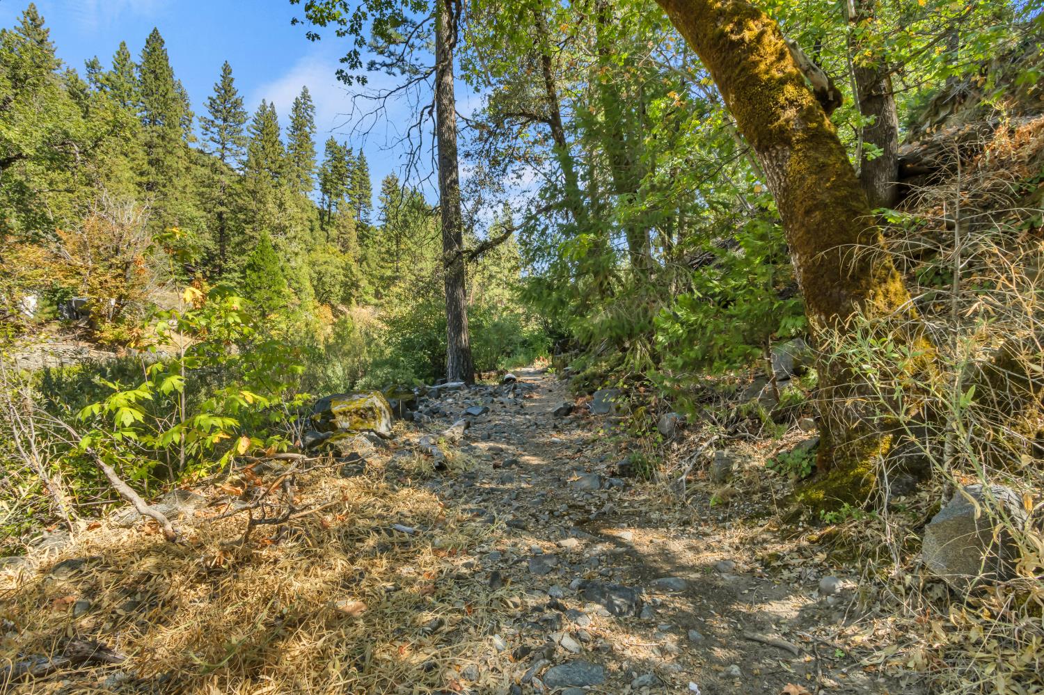 3021 Riverton Road Pollock Pines, CA 95726 - Photo 48 of 64