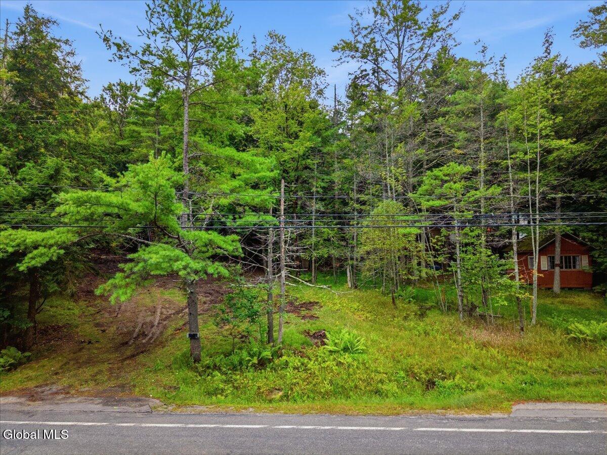 2776 South Shore Road Day, NY 12835 - Photo 4 of 9 2776 S Shore Rd