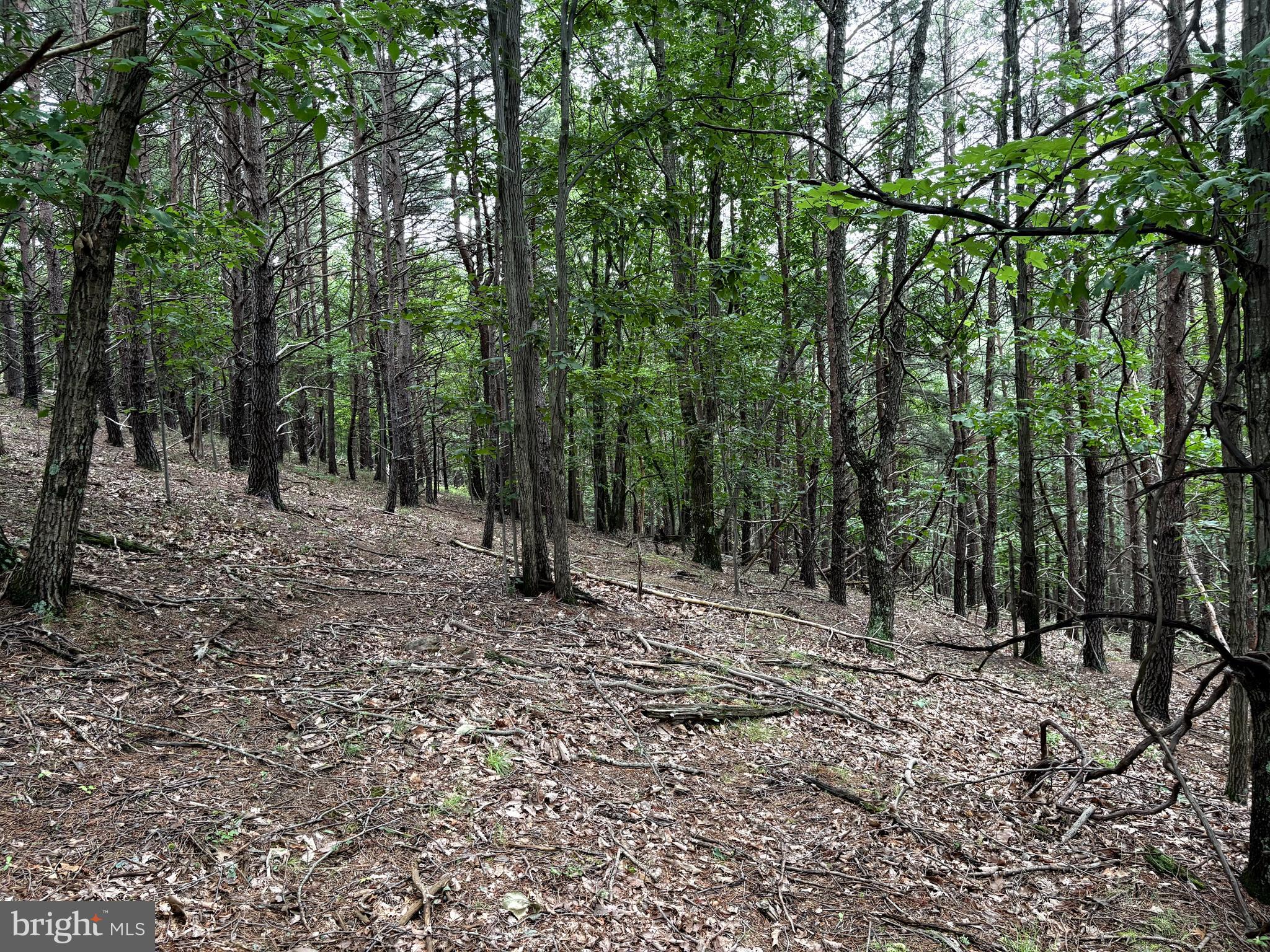 Lot 126 Bluffs Blue Beach Road Springfield, WV 26763 - Photo 10 of 20