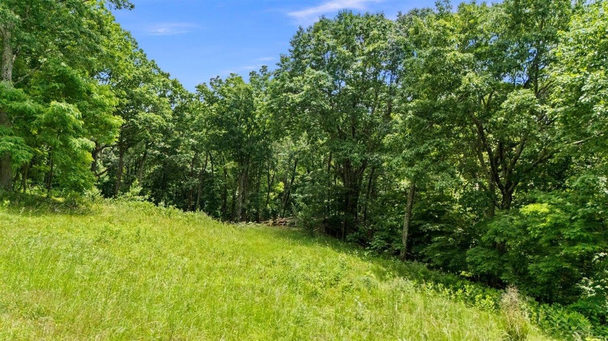 Lot 19-20 Hidden Hill Road Stanley, VA 22851 - Photo 11 of 20