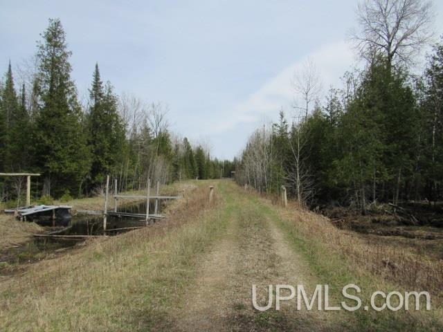 3315 Co Road Cornell, MI 49818 - Photo 21 of 50
