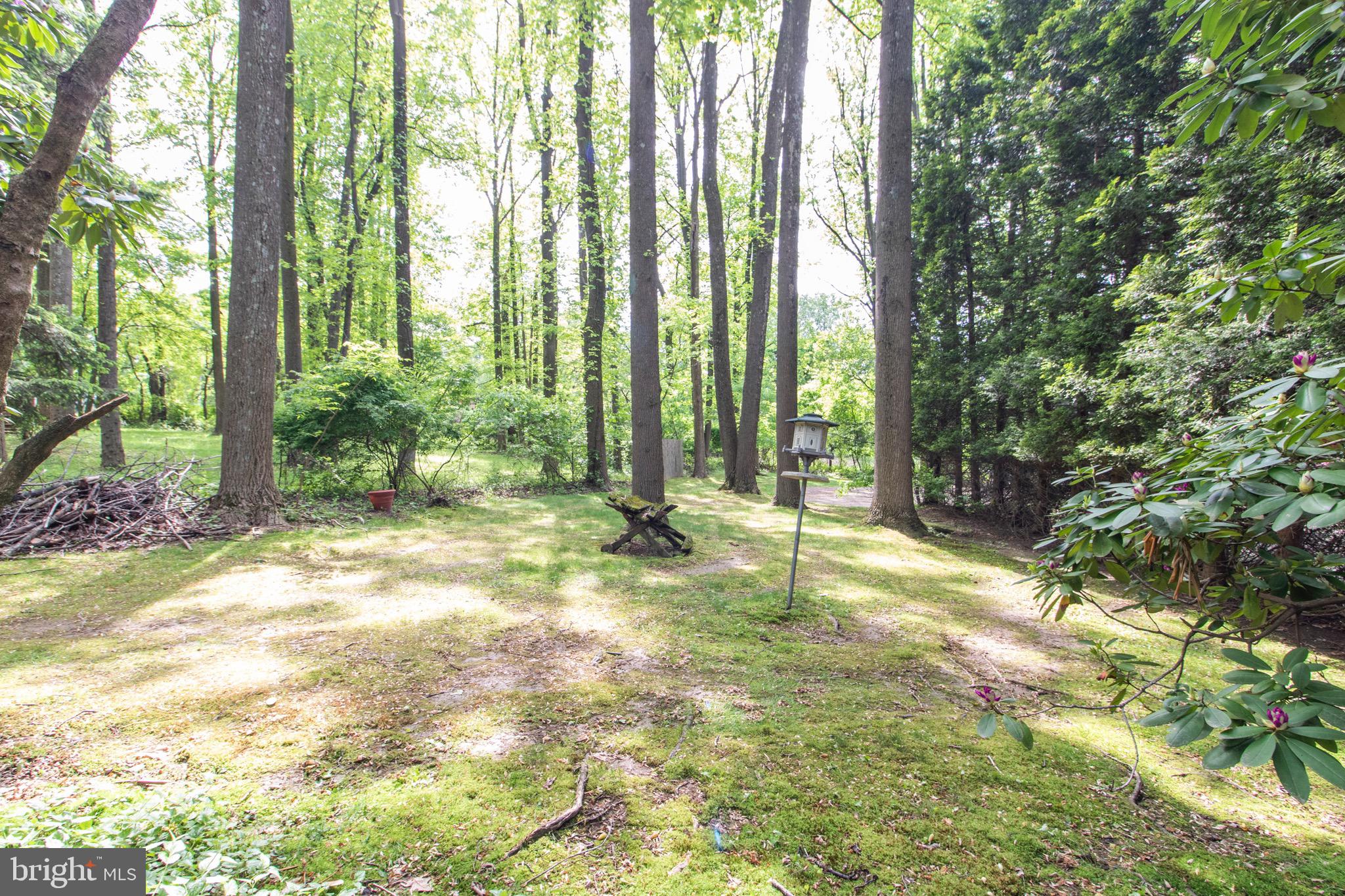 1841 Cobden Road Glenside, PA 19038 - Photo 20 of 20 Back yard wooded view