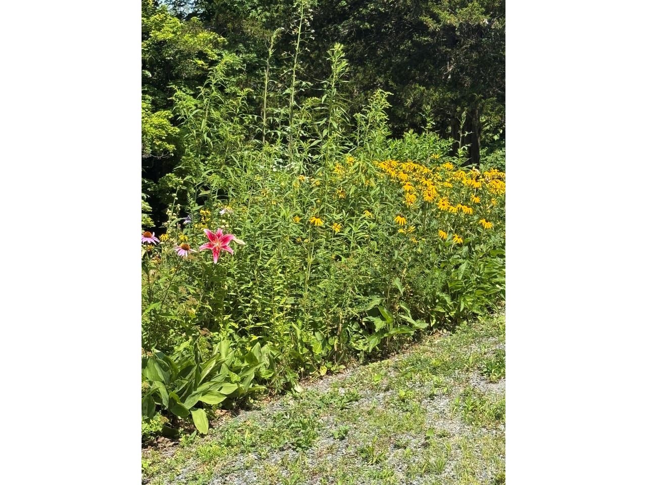 240 Jericho Road Richmond, VT 05477 - Photo 34 of 54 Gallery Image 34