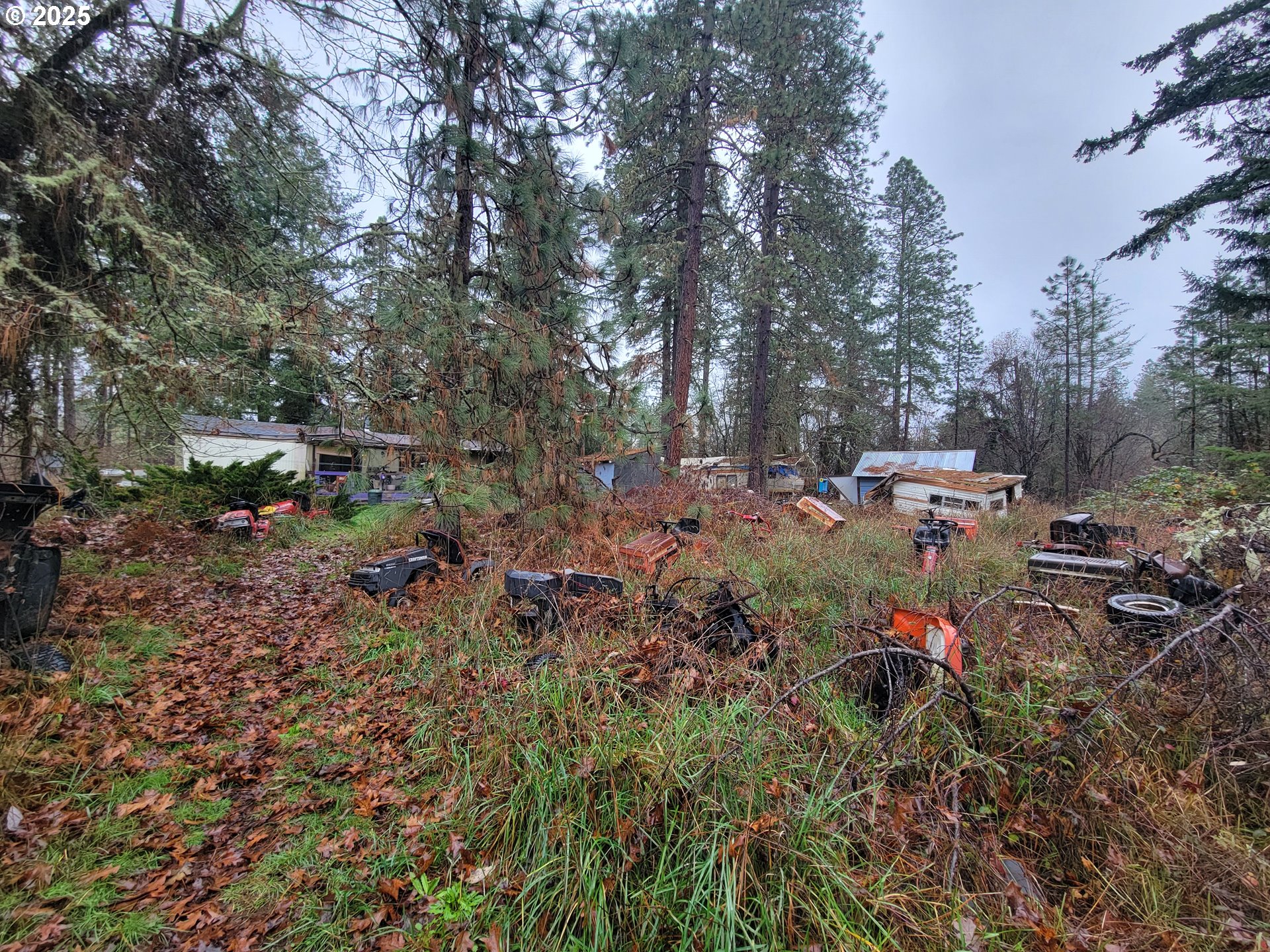25748 Wiggins Lane Veneta, OR 97487 - Photo 6 of 11 a view of yard with green space and trees