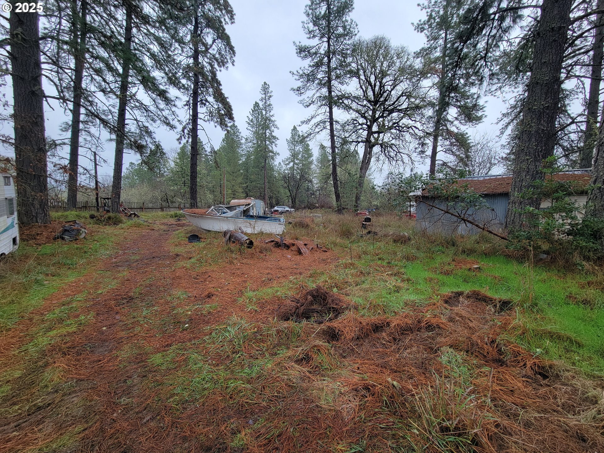 25748 Wiggins Lane Veneta, OR 97487 - Photo 9 of 11 a view of a forest with trees