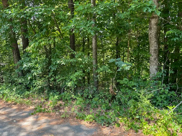 $20,000 | Lot 57 Fox Run Road, Walhalla, SC 29691