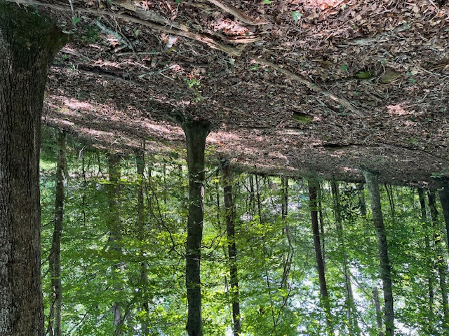 Lot 57 Fox Run Road Walhalla, SC 29691 - Photo 4 of 6