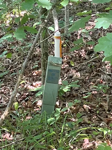 $20,000 | Lot 57 Fox Run Road, Walhalla, SC 29691