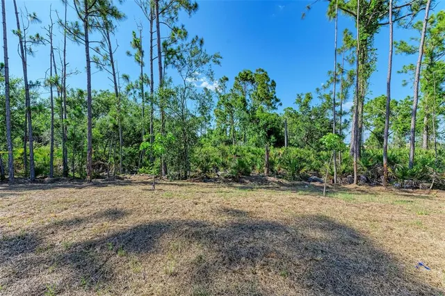 $1,995 | 1217 Birchcrest Boulevard, Port Charlotte, FL 33952