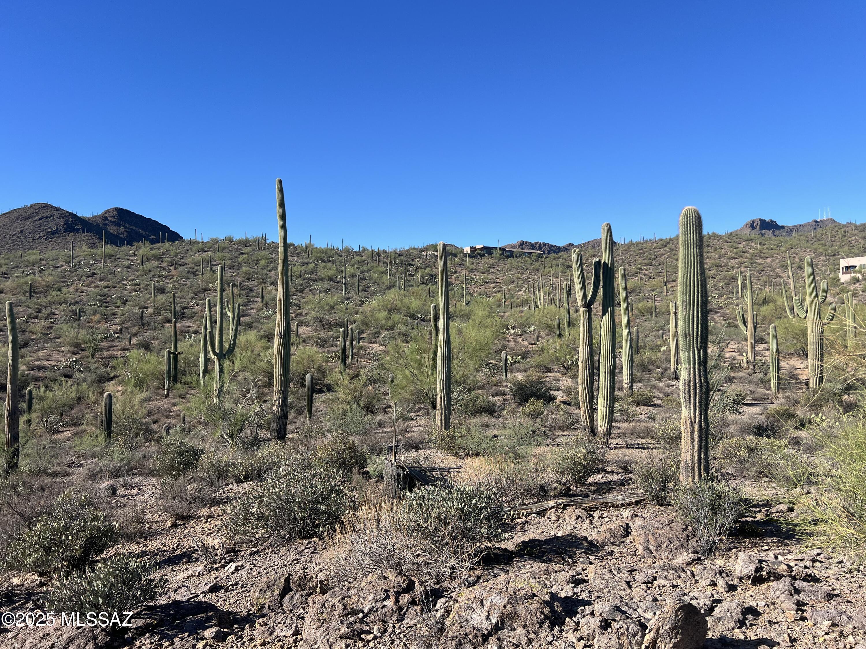 10.31-ac West Rhyolite Loop, Unit 27C Tucson, AZ 85745 - Photo 16 of 20