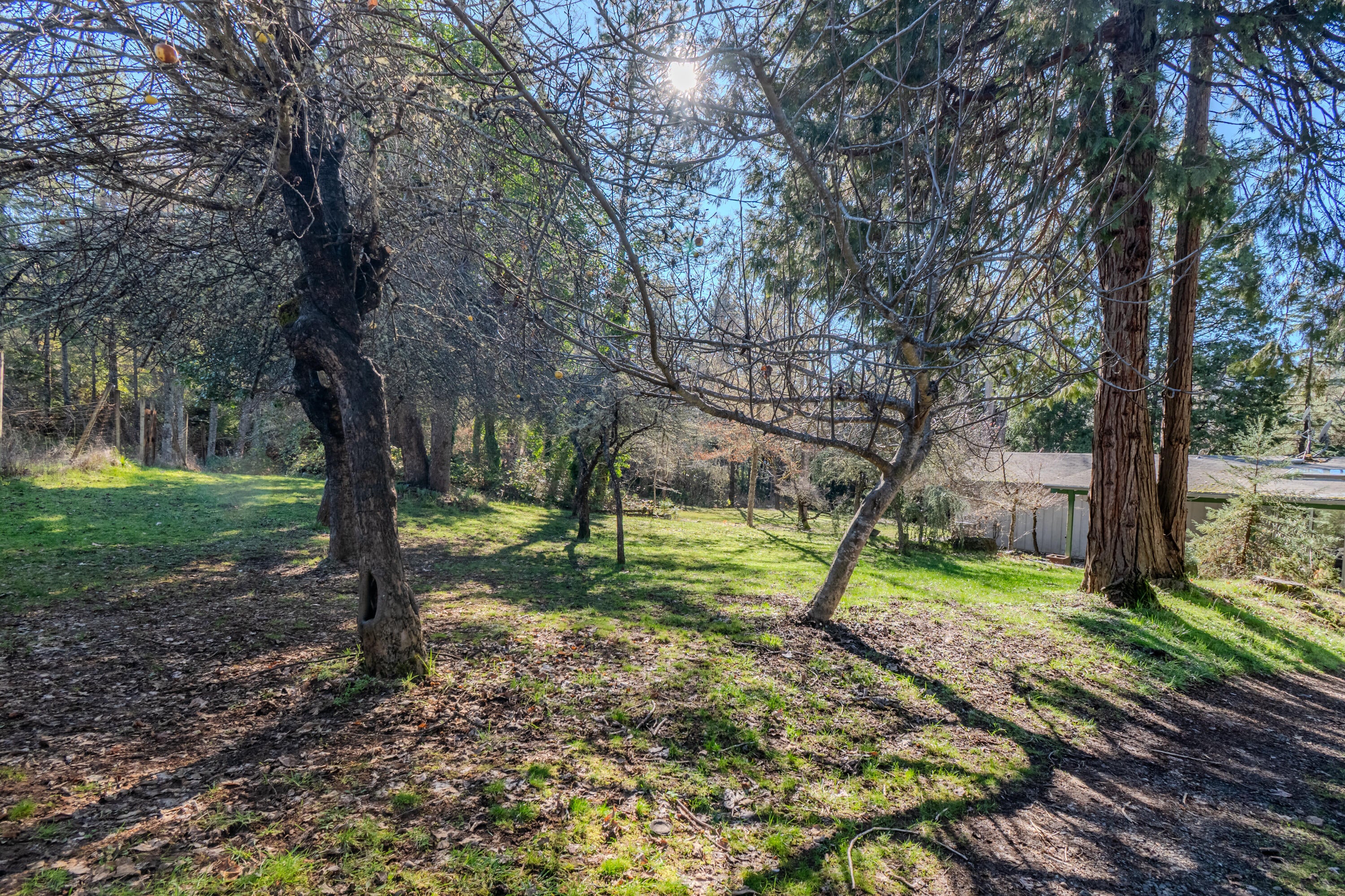 10950 Ramsey Road Gold Hill, OR 97525 - Photo 6 of 59 01-45