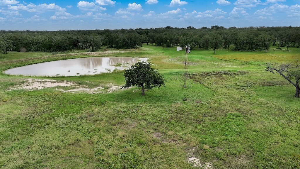 2625 Burke Road Flatonia, TX 78941 - Photo 5 of 19