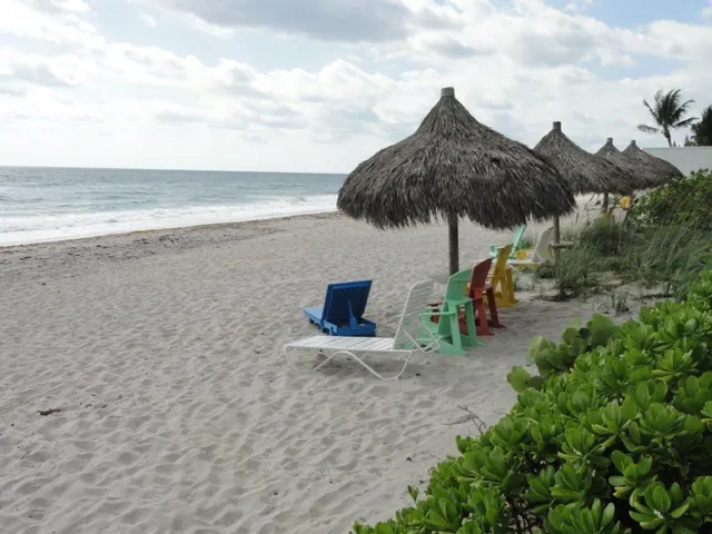 a view of a terrace with a garden