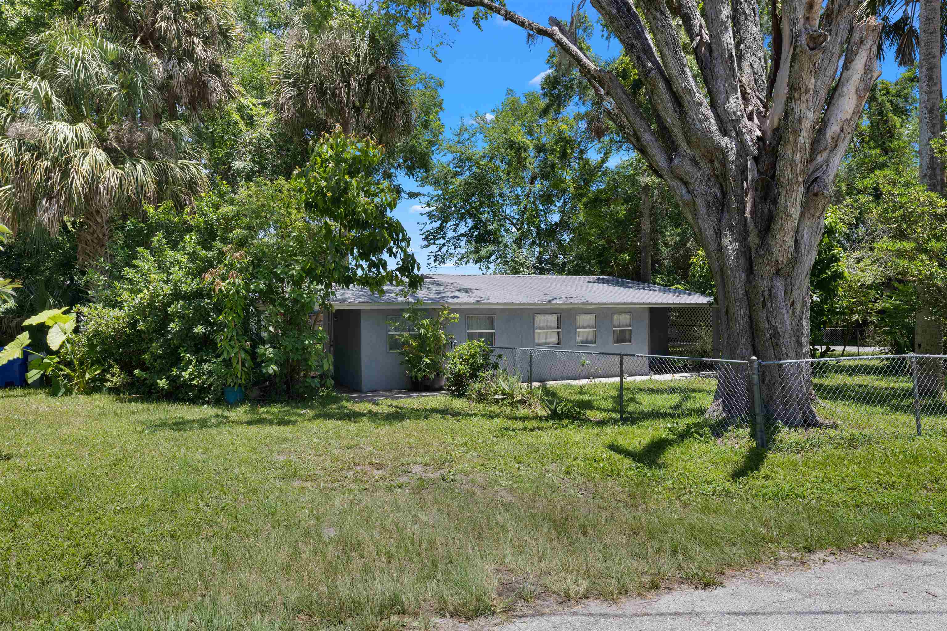 1463 Spring Street St. Augustine, FL 32084 - Photo 1 of 27 a backyard of a house with plants and large tree