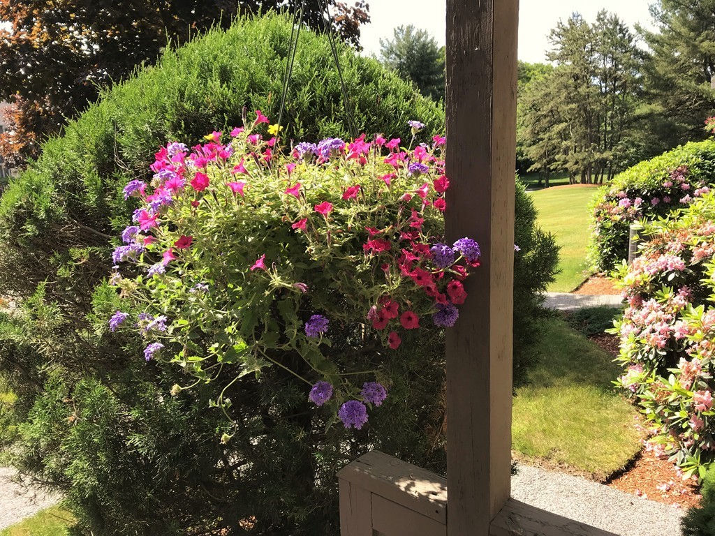 106 Maple Brook Road, Unit 106 Bellingham, MA 02019 - Photo 26 of 28