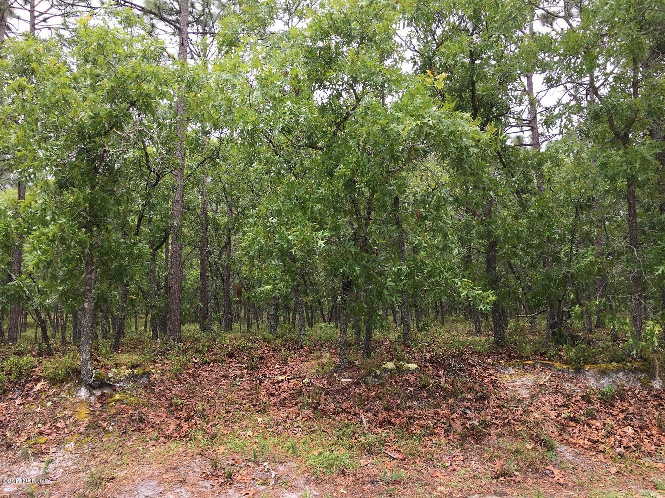 106 Woodcrest Road Southport, NC 28461 - Photo 3 of 5 LOT 106
