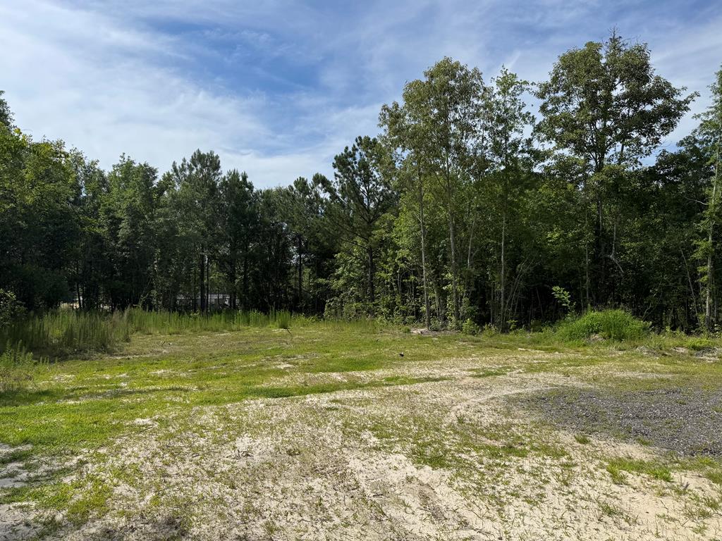 3484 Ridge Road Hodges, SC 29653 - Photo 11 of 12