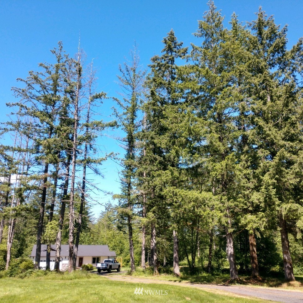 446 Meier Road Winlock, WA 98596 - Photo 1 of 11