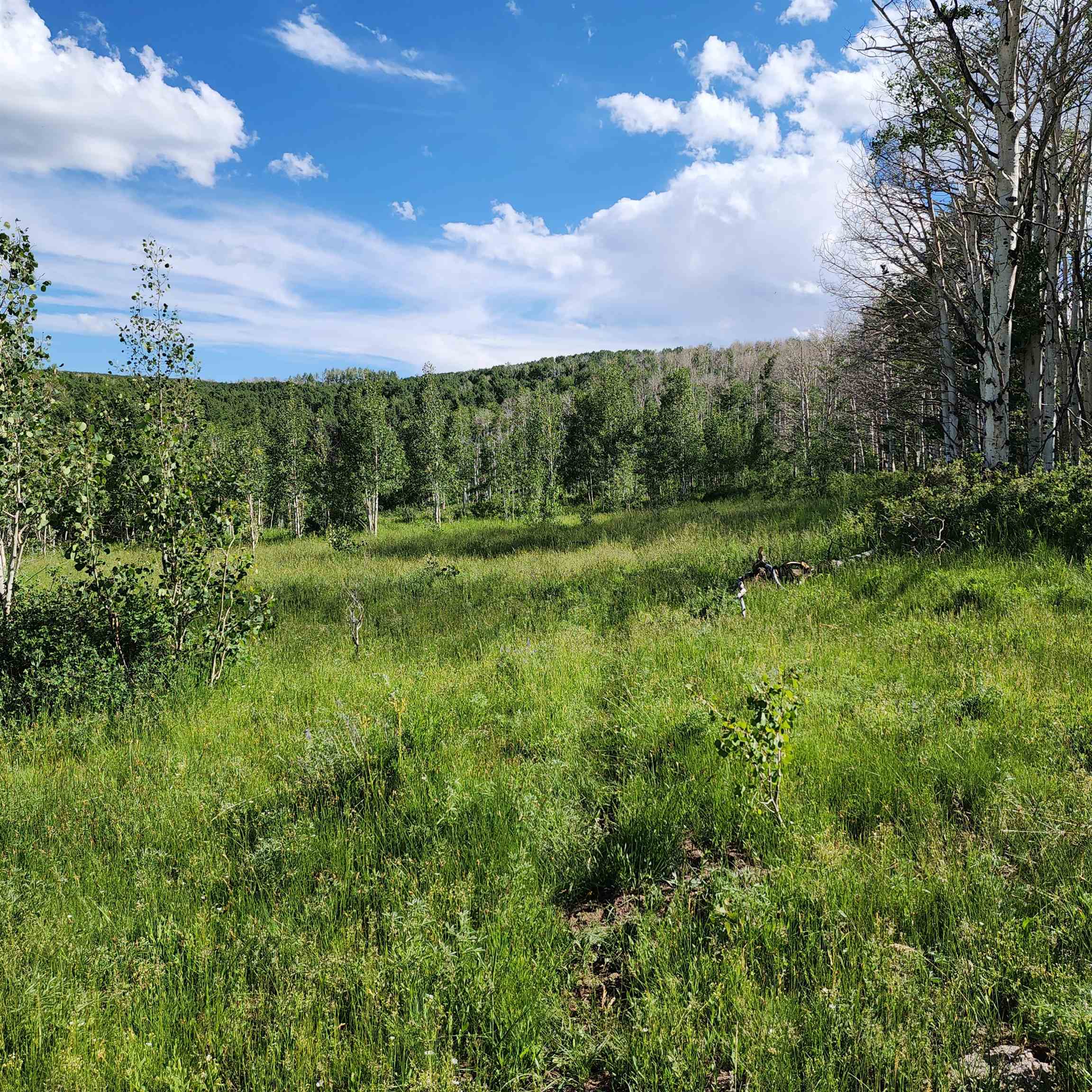 Tbd Z S Road, Unit 240 ACRES) Whitewater, CO 81527 - Photo 8 of 24