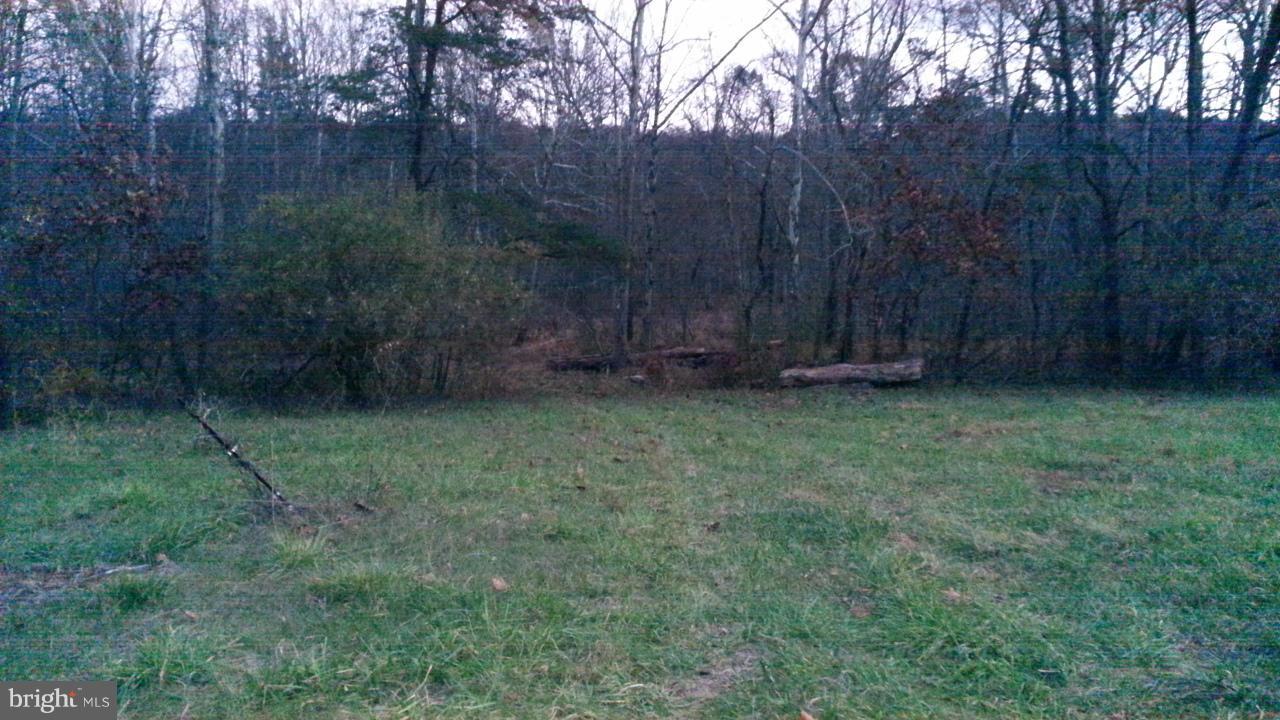 0 Virginia Line-Potomac Road Berkeley Springs, WV 25411 - Photo 2 of 29 Exterior (General)
