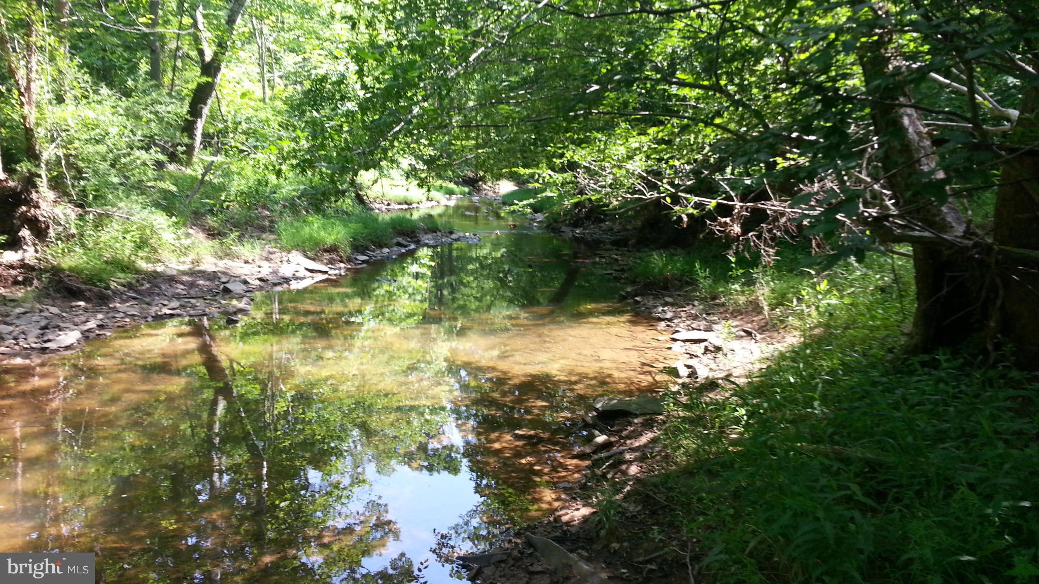 0 Virginia Line-Potomac Road Berkeley Springs, WV 25411 - Photo 11 of 29 View
