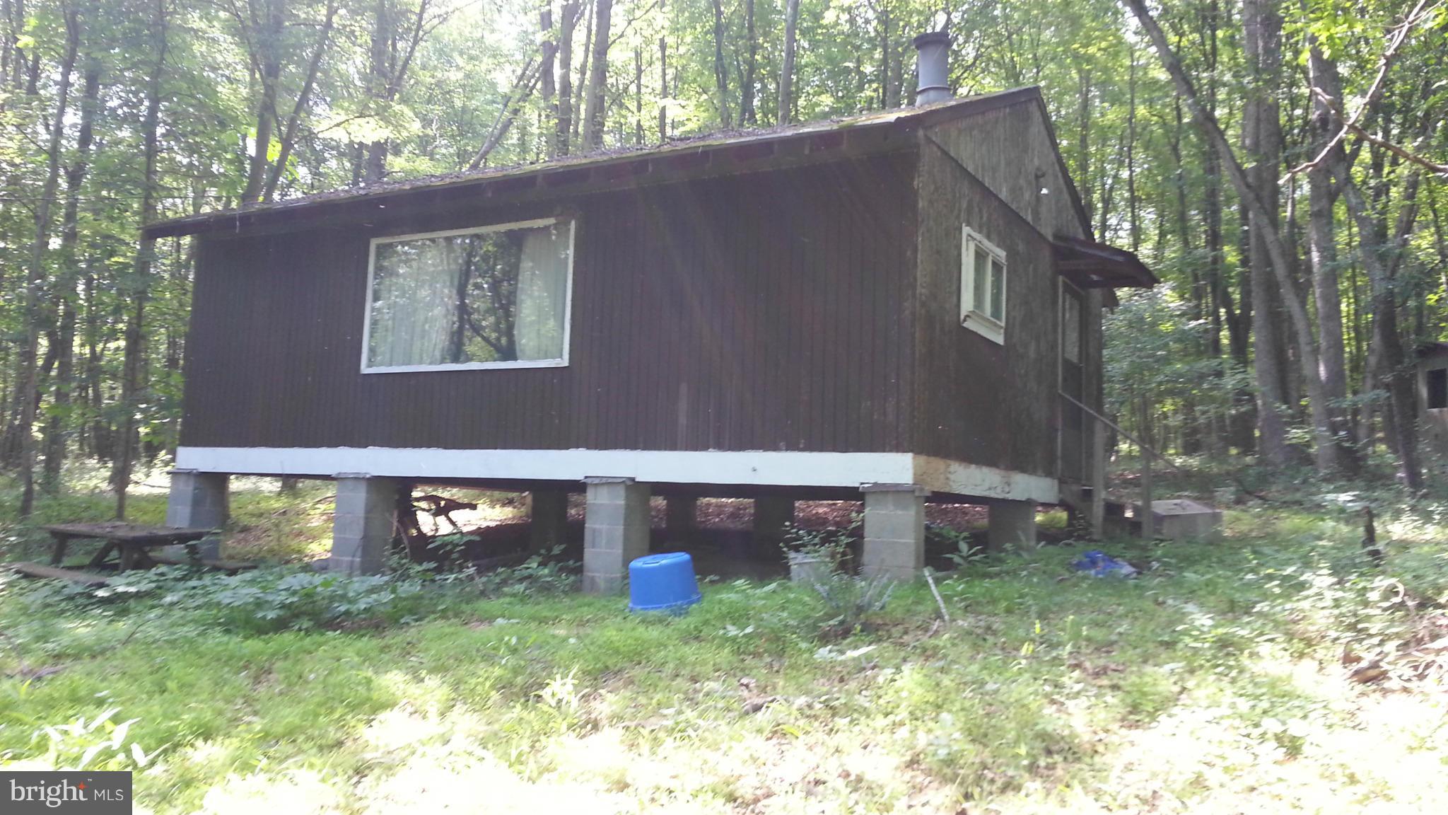 0 Virginia Line-Potomac Road Berkeley Springs, WV 25411 - Photo 12 of 29 Exterior (General)