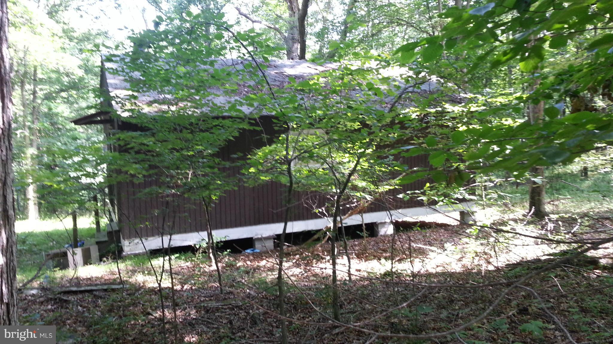 0 Virginia Line-Potomac Road Berkeley Springs, WV 25411 - Photo 14 of 29 Exterior (General)